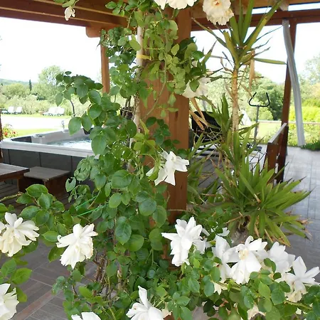 Poggio Degli Olivi Country house *