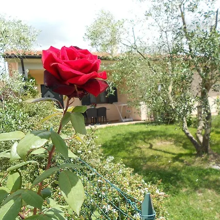 Country house Poggio Degli Olivi Saturnia