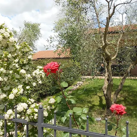 Poggio Degli Olivi * Saturnia