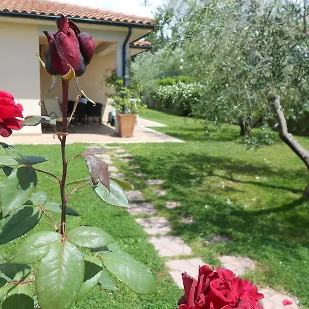 Poggio Degli Olivi Country house