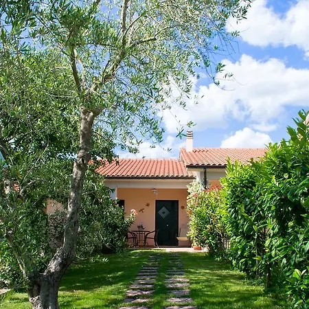 Poggio Degli Olivi